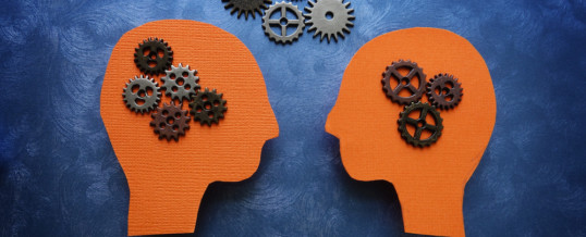 Using Should-Cost Models for Actionable Transparency